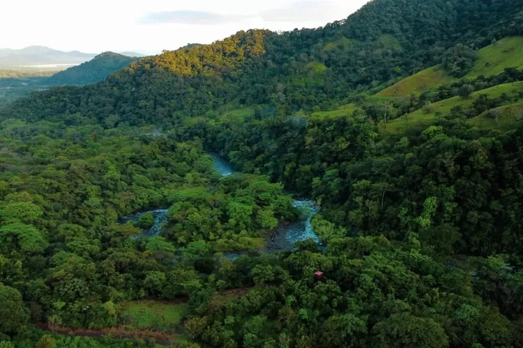Taman Nasional Kayan Mentarang